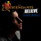 Shawn Mendes - Believe (CDS)