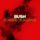 Bush - Flowers On A Grave (CDS)